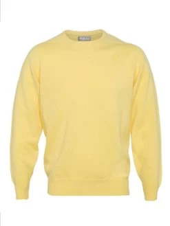 Crew Neck Jumper - Yellow