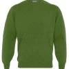 Lambswool Crew Neck Jumper - Grass Green -Clothing store 5 072270e3 07b2 479a bc24 73545868e1bd