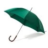 Umbrella Chestnut - Green -Clothing store umbrella green be2ca027 1286 440c a740 c546837edb15
